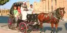 Luxor Trip Experience: Enjoy a Romantic Horse Carriage Tour by the Nile