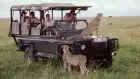  cheetahs pride spotted on a game drive during a 3-day Kenya Safari Masai Mara experience.