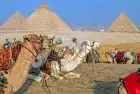 8 Days Luxury Egypt Tour