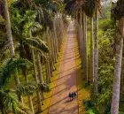 Ghana Travel Package