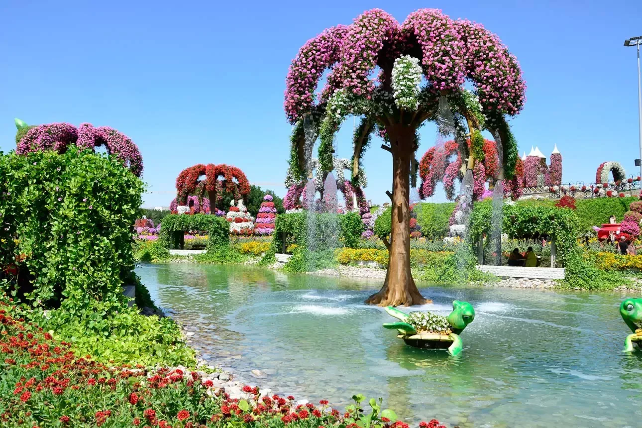 Dubai Miracle Garden 