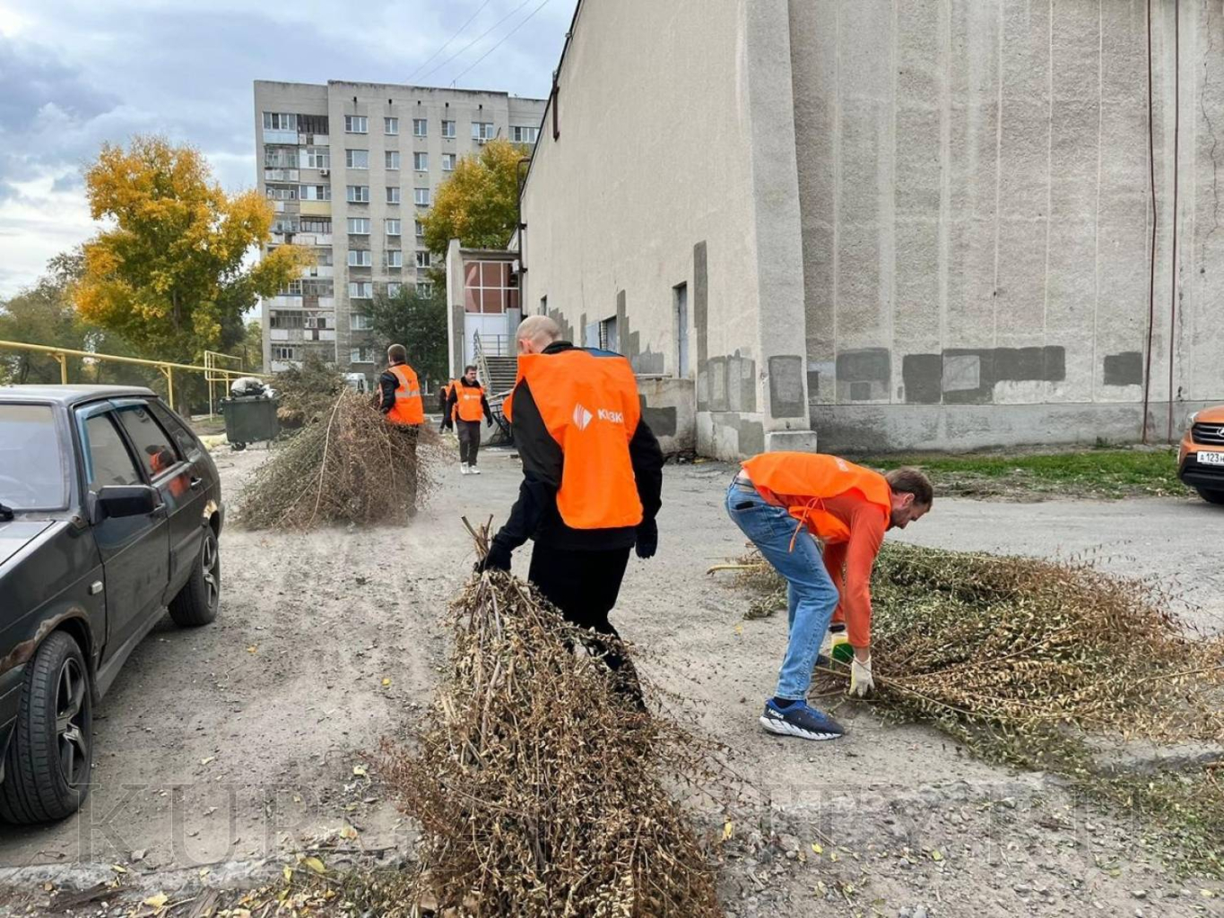 Новости г курганской области