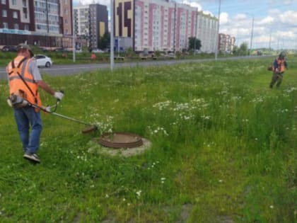 Чтобы город был чистым. Дорожные службы Кургана работают круглосуточно