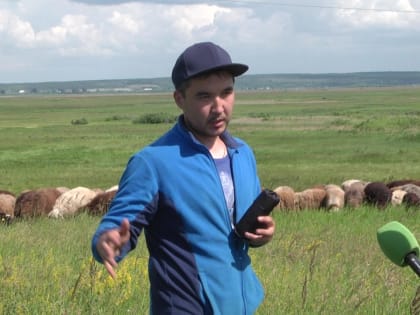 Семья Нургалиевых поставляет экологически чистое мясо  курганцам