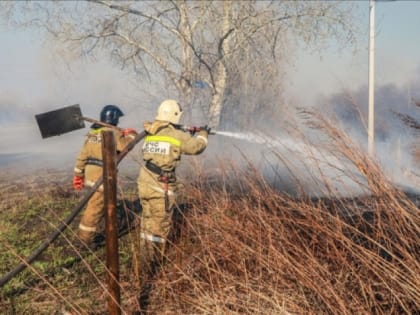 Можно ли курганским садоводам сжигать сухую траву?
