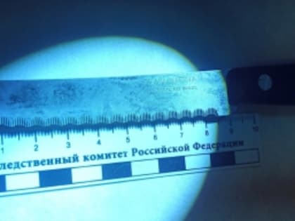 Житель Лебяжья надругался над ребёнком, а затем напал с ножом на росгвардейца – всё это за одну ночь