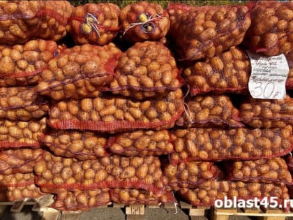 В Курганской области картофель подорожал более, чем в 2 раза