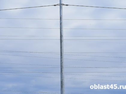 В курганских садоводствах днём не будет света