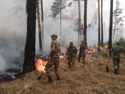 Росгвардейцы помогли потушить огонь, подбирающийся к государственному объекту