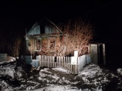 По факту гибели мужчины в результате пожара в Целинном  районе проводится проверка