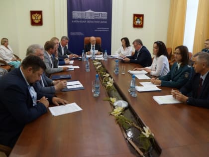 Исполнение областного бюджета обсудили депутаты на заседании комитета Курганской областной Думы по бюджету, финансовой и налоговой политике