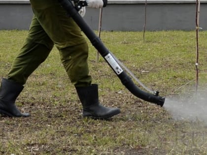 В Кургане будет проводиться акарицидная обработка территорий