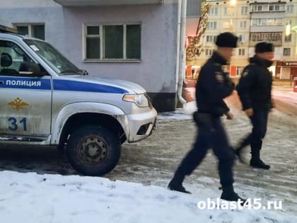 В Кургане мать двоих детей попалась с наркотиками