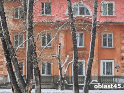 В Курганской области на голову ребёнку упал металлический козырёк