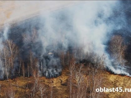В Зауралье продолжают ликвидировать ландшафтные и лесные пожары