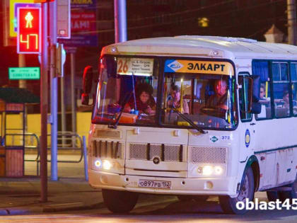 В Курганской области восстановили движение автобусов между сёлами