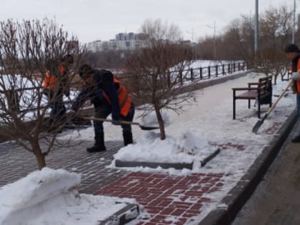 Дирекция парков и скверов заботится о любимых местах отдыха курганцев