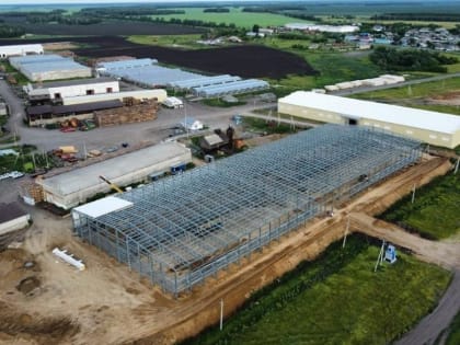 В селе Курганской области в этом году появятся новые рабочие места