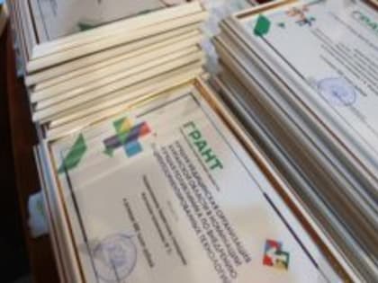 Курганских айтишников хотят простимулировать грантами губернатора