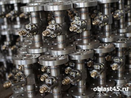 В Курганской области вырос индекс промышленного производства