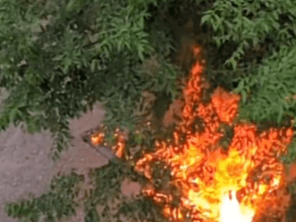 В курганском дворе от непотушенного окурка сгорел мусорный контейнер