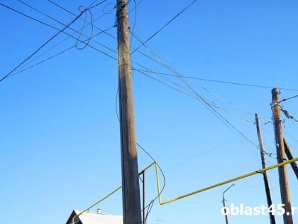 В садоводстве под Курганом временно не будет света