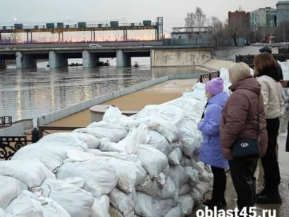 Тобол в Кургане за сутки поднялся на 140 сантиметров