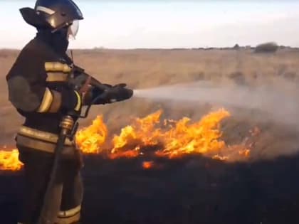 В Кургане пожарные остановили огонь, угрожавший дачному поселку