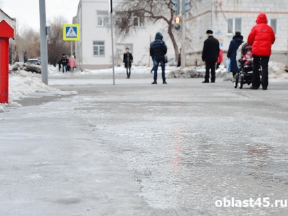 Курганских школьников отправляют на дистанционку из-за непогоды