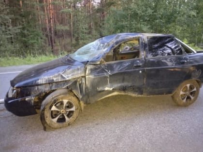 В Курганской области в ночной аварии погиб водитель и пострадали три пассажира