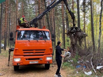 Зауральцы убрали свыше 100 кубических метров мусора в лесах