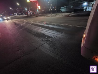 ГИБДД Кургана просит откликнуться очевидцев смертельного ДТП с автобусом