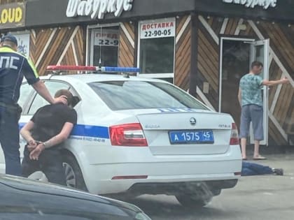 В Кургане мужчины после потасовки разъехались по спецучреждениям