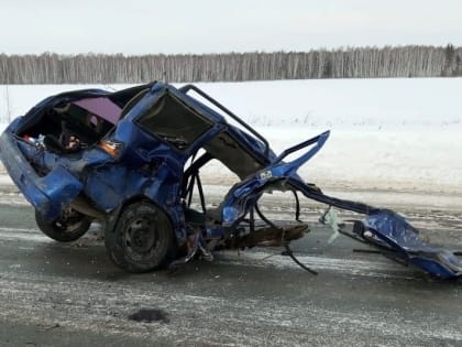 В Курганской области произошло смертельное ДТП