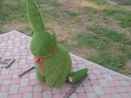 Курганский заяц остался без уха