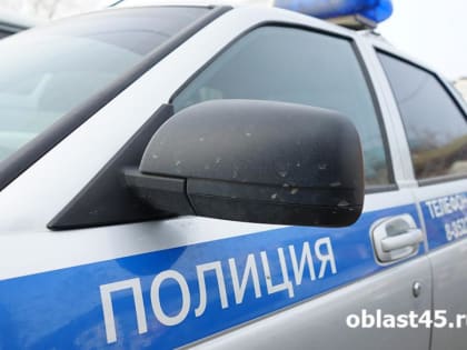 Задержание эксгибициониста в Кургане
