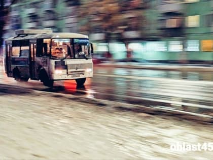 В Кургане водителя автобуса обвинили в том, что он увез ребенка-аутиста от мамы