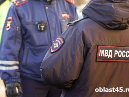 На трассе в Курганской области столкнулись 2 иномарки