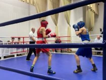 В Щучье более 80 спортсменов приняли участие в турнире по боксу против наркотиков