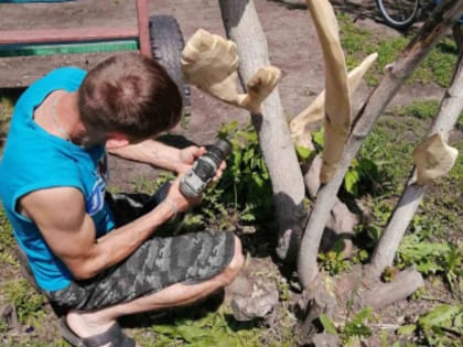 Территории курганских ТОСов становятся ярче