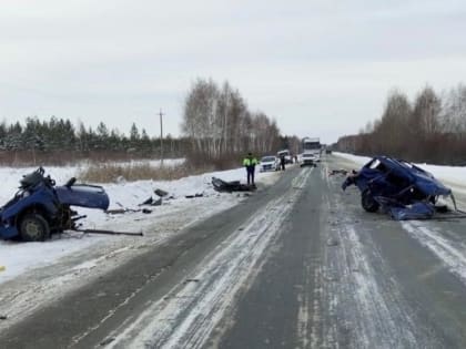 В Курганской области 23-летний водитель на трассе выехал на встречку и погиб