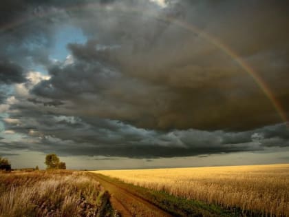 В Кургане открывается фотовыставка памяти Валерия Васенина