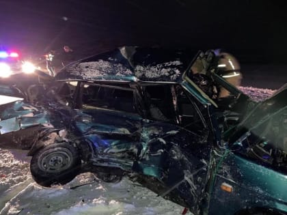 В Каргаполье 29-летняя девушка сбила двух пешеходов