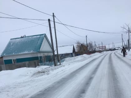Общественники Зауралья продолжают контролировать уборку снега
