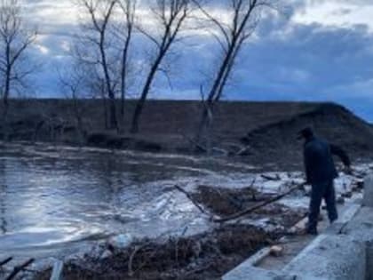 В Зауралье из-за резкого прироста воды в Тоболе эвакуируют жителей трёх округов