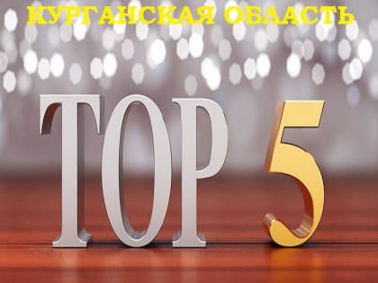 Курганская область вошла в ТОП-5 регионов по внедрению Платформы обратной связи