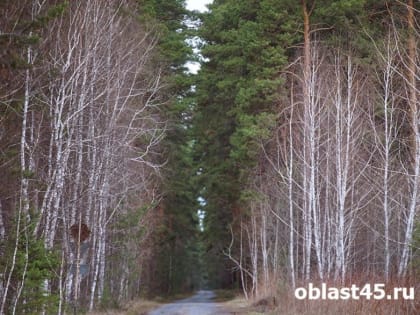 Зауральских водителей призывают не курить за рулём