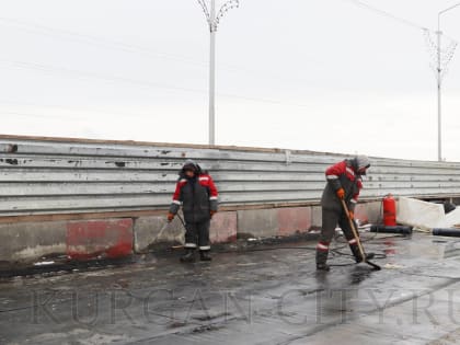 Обзор объектов ЖКХ и благоустройства в Кургане