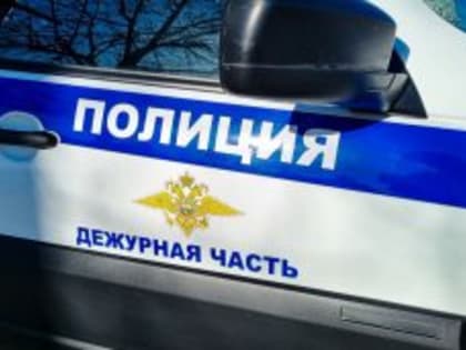 Житель Макушинского округа украл женскую сумочку