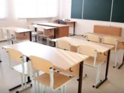 В 84 классах шадринских школ из-за ОРВИ приостановили учебный процесс